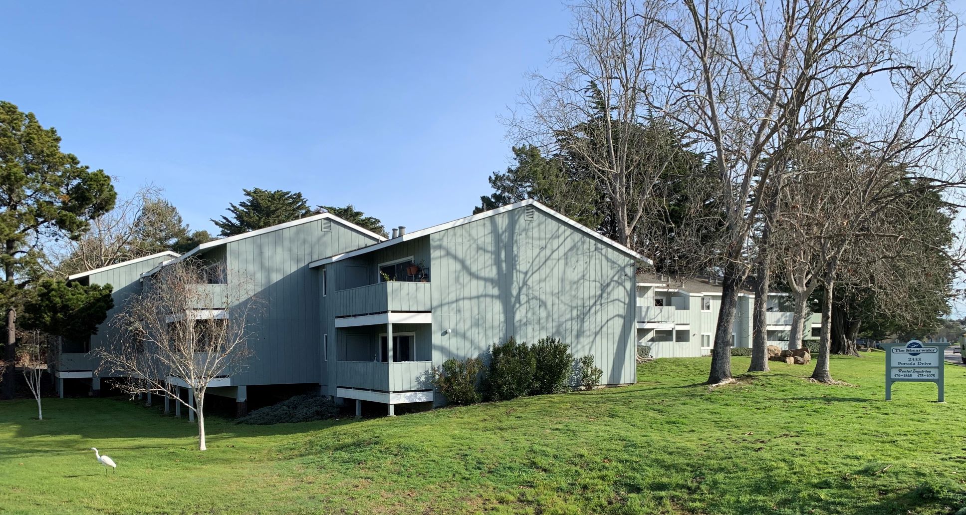 Shearwater Apartments photo 4